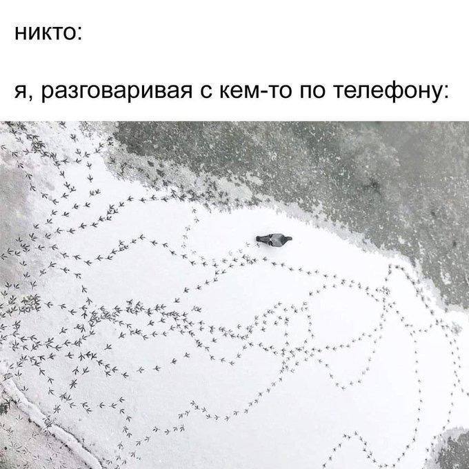 НИКТО: я, разговаривая с кем-то по телефону: у 4 as 2 “че к 5 7 я к к 5. ее я 4 7 4 a