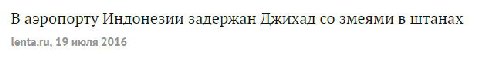 почему я не видела этой новости раньше