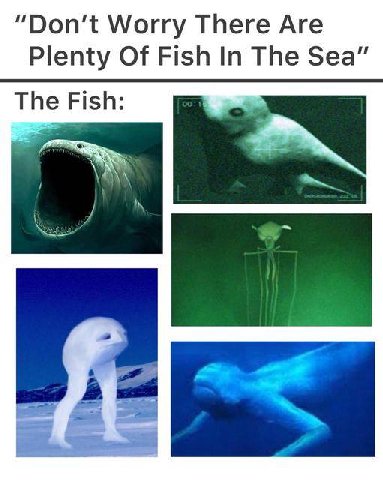 “Don't Worry There Are Plenty Of Fish In The Sea” The Fish: