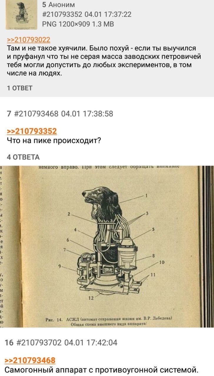 5 АНОНИМ #210793352 04.01 17:37:22 PNG 1.3 >>210793022 Там и не такое хуячили. Было похуй если ты выучился и пруфанул что ты не серая масса заводских петровичей тебя могли допустить до любых экспериме