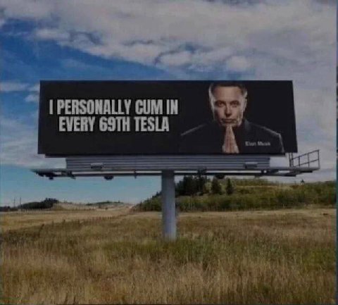 PERSONALLY CUM IN EVERY TESLA