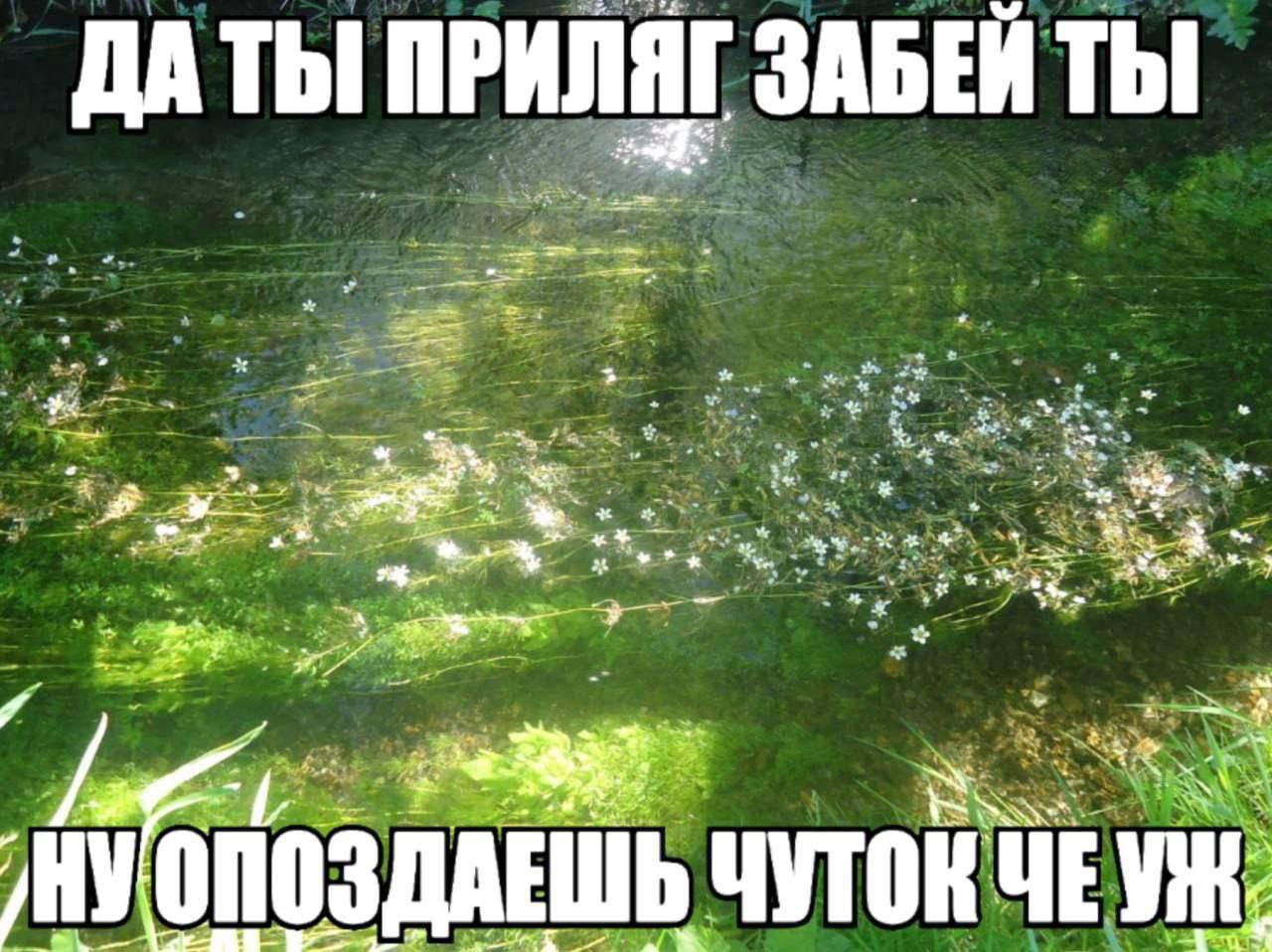 Thi ПРИЛЯГ ЗАБЕЙ ТЫ у 3 я 7 MY ЧУТОК