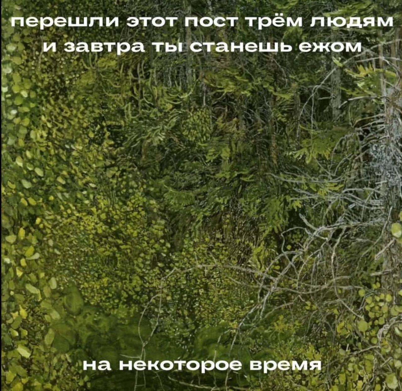перешли этот пост трём людям и завтра ты станешь ежом. на некоторое время
