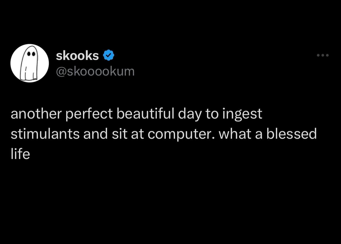 skooks @skooookum another perfect beautiful day to ingest stimulants and sit at computer. what a blessed life