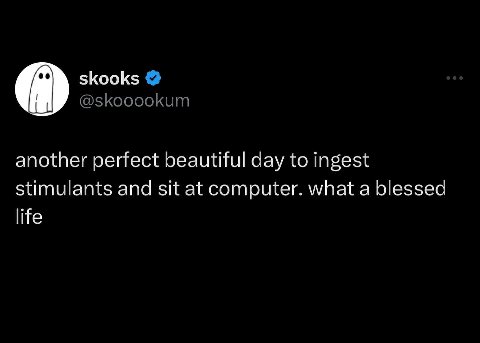 skooks @skooookum another perfect beautiful day to ingest stimulants and sit at computer. what a blessed life