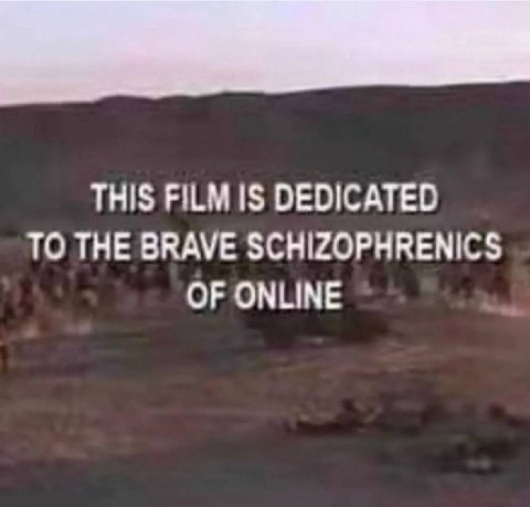 THIS FILM IS DEDICATED TO THE BRAVE SCHIZOPHRENICS OF ONLINE