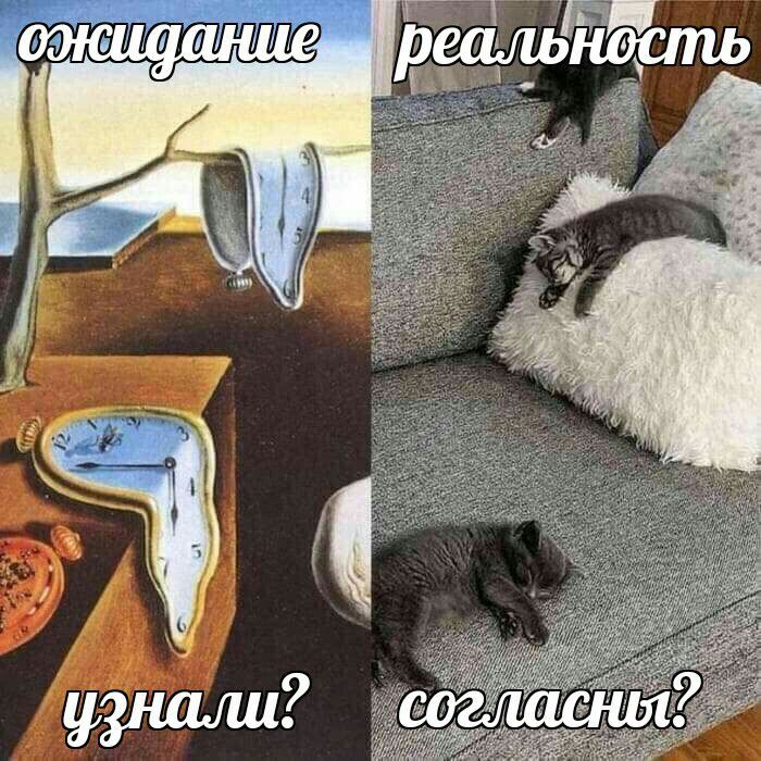 реаль 6 узнали