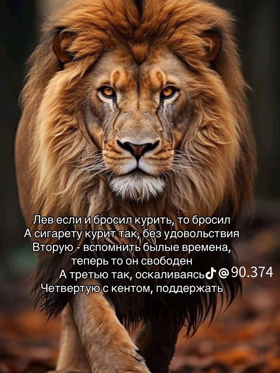 Лев если и бросил курить, то бросил А сигарету курит так, без удовольствия Вторую вспомнить былые времена, теперь то он свободен А третью так, 90.374 Четвертую с кентом, поддержать