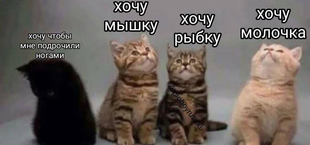 хочу хочу хочу хочу чтобы мышку мне подрочили рыбку молочка ногами