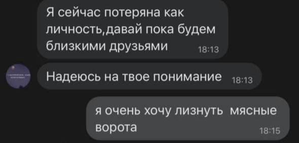 Я сейчас потеряна как личность, давай пока будем близкими друзьями 18:13 Надеюсь на твое понимание я очень хочу лизнуть мясные ворота 18:15
