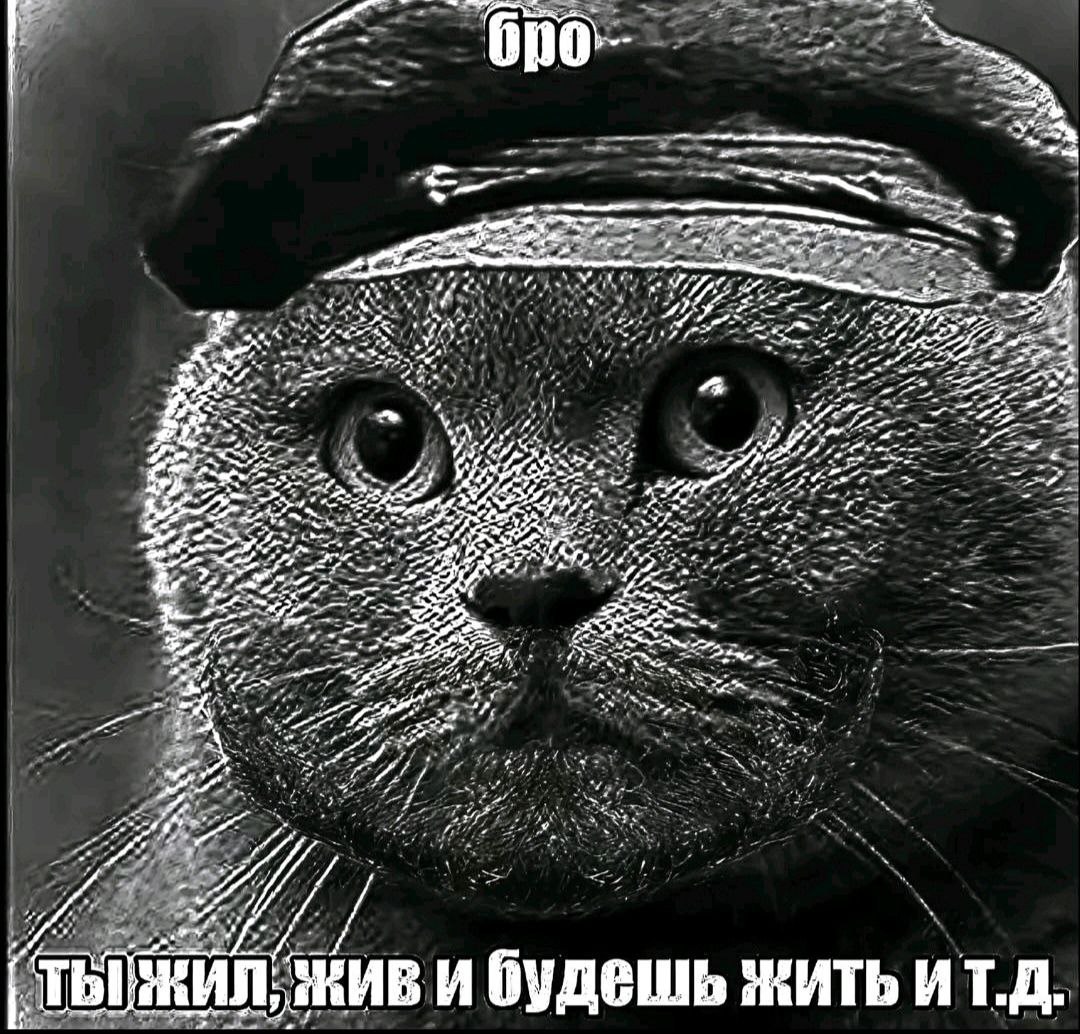 4% 4 Я живи будешь жить ит.д.