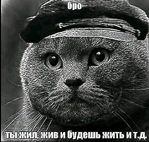 4% 4 Я живи будешь жить ит.д.