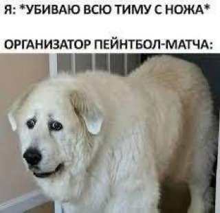 Я: *УБИВАЮ ВСЮ ТИМУ С НОЖА* ОРГАНИЗАТОР ПЕЙНТБОЛ-МАТЧА: a