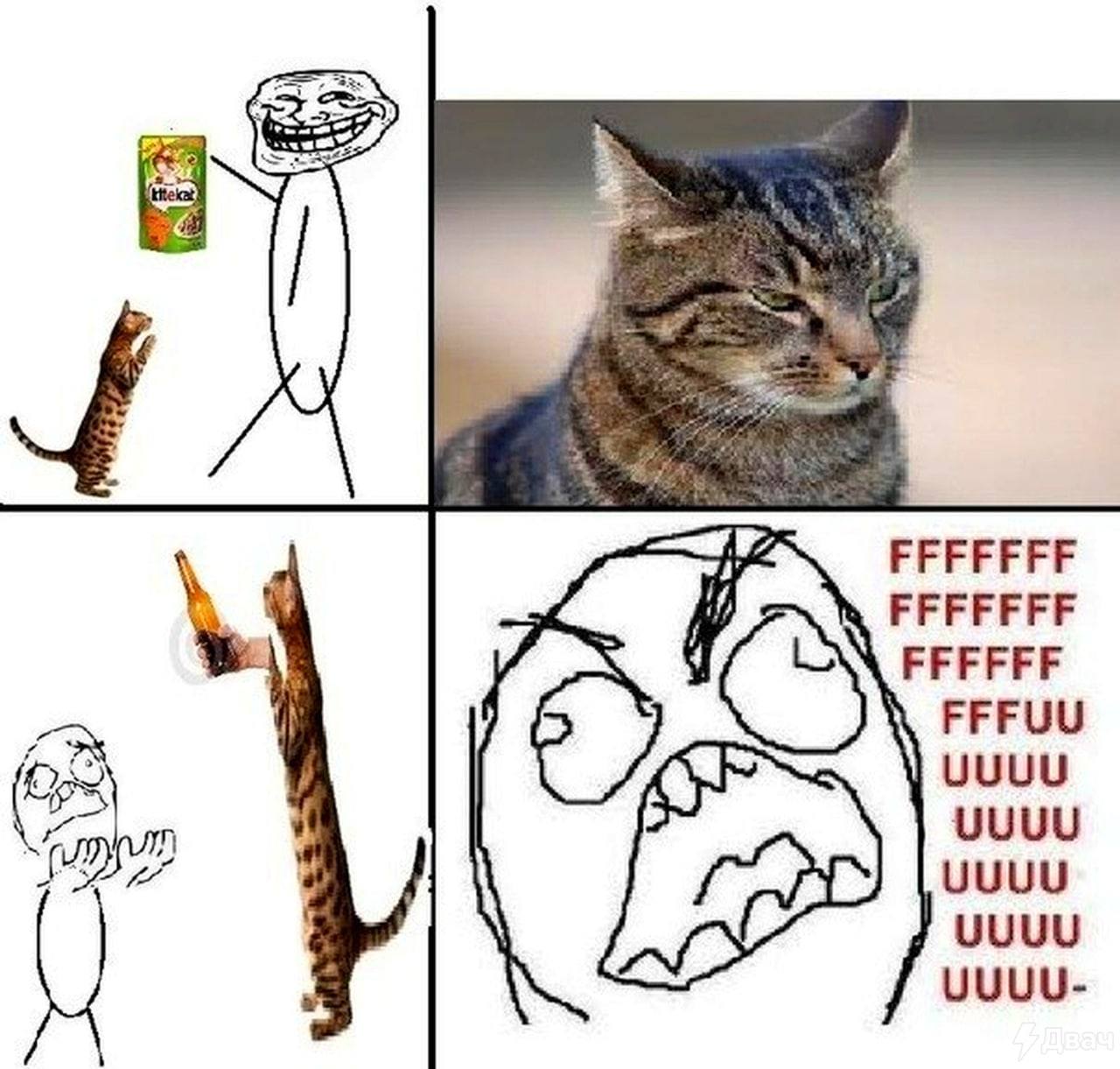 FFFFFFF FFFFFFF FFFFFF FFFUU UUUU UUUU UUUU UUUU UUUU-