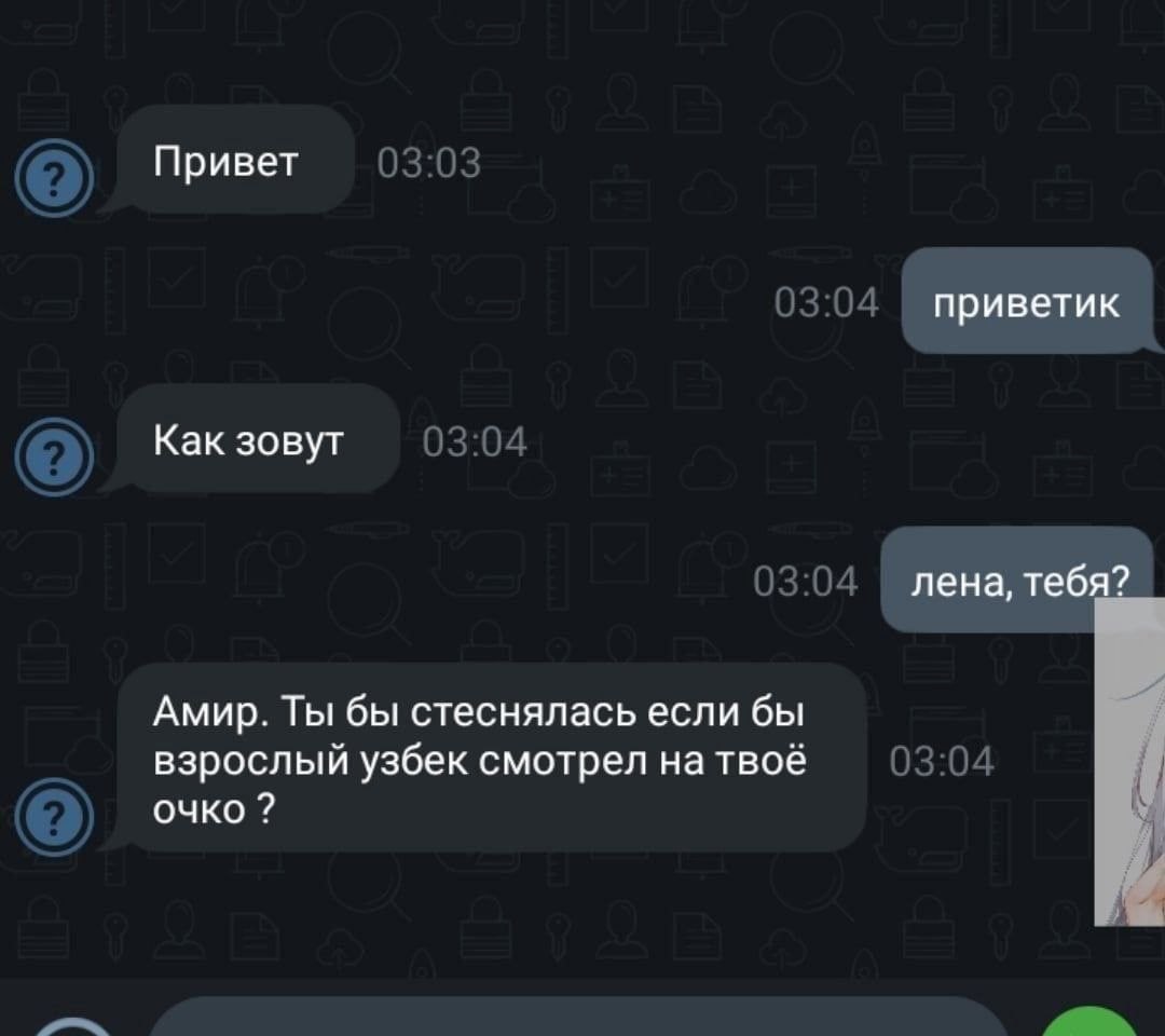 Привет 03:03 03:04 приветик Как зовут 03:04 03:04 лена, тебя? Амир. Ты бы стеснялась если бы взрослый узбек смотрел натвоё очко