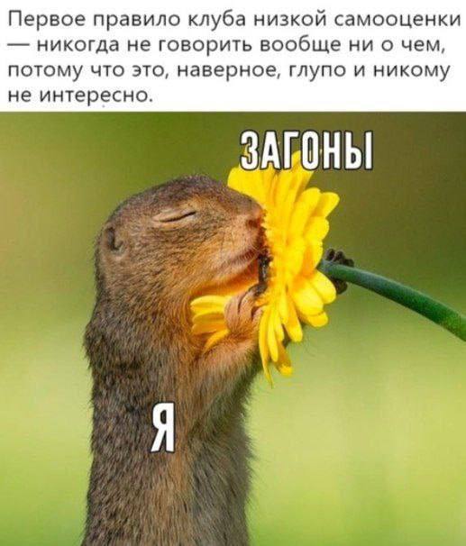 Первое правило клуба низкой самооценки никогда не говорить вообще ни о чем, потому что это, наверное, глупо и никому не интересно. ЗАГОНЫ