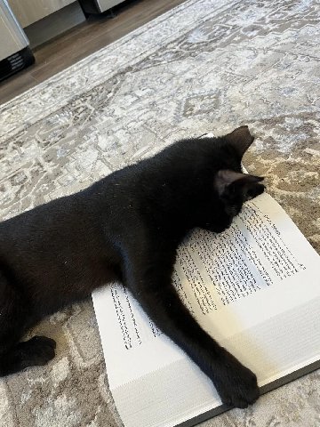 4 4 а 2% 4, 7. a 2 AMS 4 А А feo ect