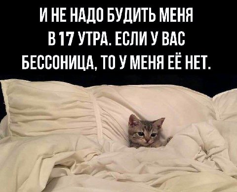 ИНЕ НАДО БУДИТЬ МЕНЯ В17 УТРА. ЕСЛИ У BAC БЕССОНИЦА, ТО У МЕНЯ ЕЁ НЕТ.