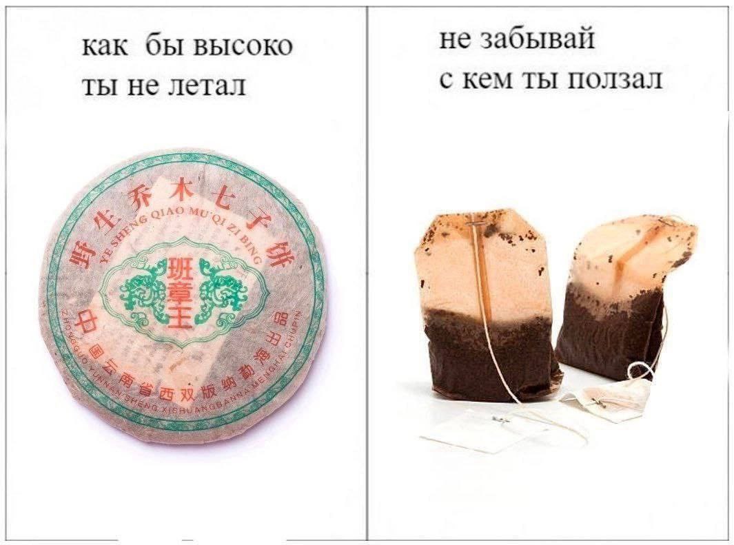 не забывай как бы высоко с кем ты ползал ты не летал MiG; SUT
