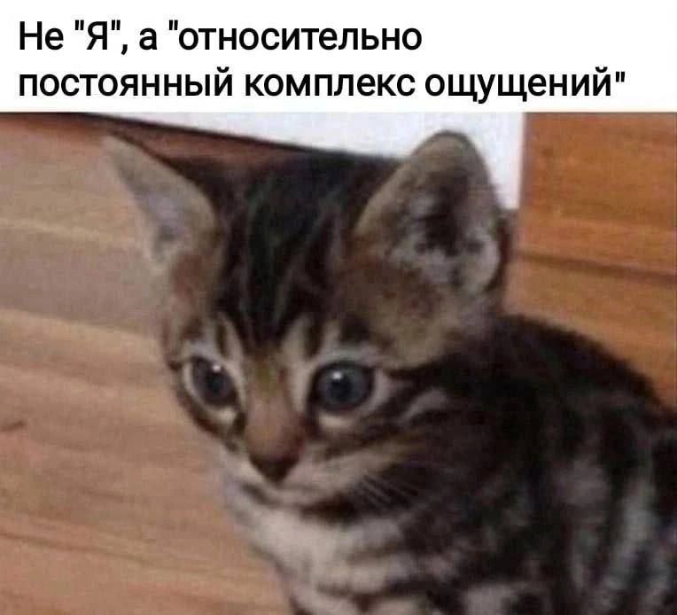 Не "Я", а "относительно постоянный комплекс ощущений"