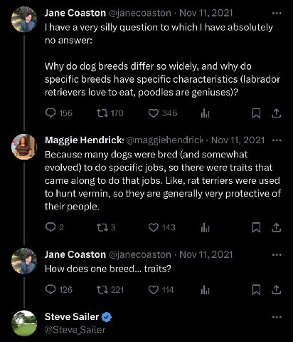 Jane Coaston have a very silly question to which have absolutely NO answer: Why clog breeds differ so widely. and why specific breeds have specific characteristics (labrador retrievers love to eat. po