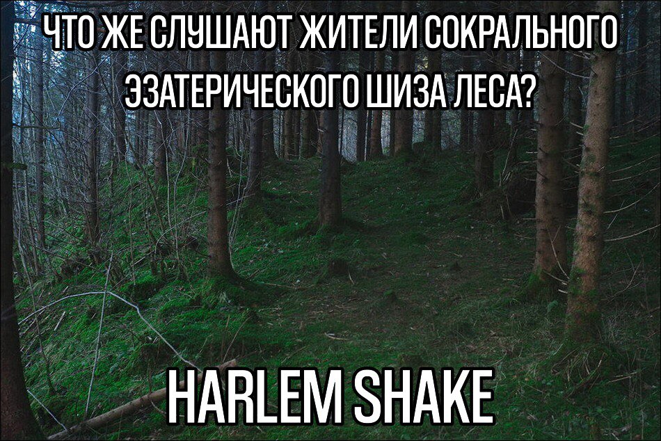 ЖЕСЛУШАЮТ ЖИТЕЛИ СОКРАЛЬНОГО ЭЗАТЕРИЧЕСКОГО ШИЗА ЛЕСА? HARLEM SHAKE