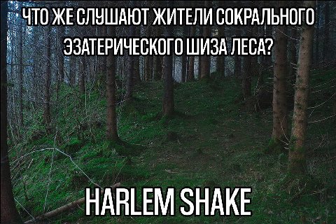ЖЕСЛУШАЮТ ЖИТЕЛИ СОКРАЛЬНОГО ЭЗАТЕРИЧЕСКОГО ШИЗА ЛЕСА? HARLEM SHAKE