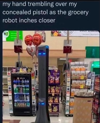 my hand trembling over my concealed pistol as the grocery robot inches closer 1:1