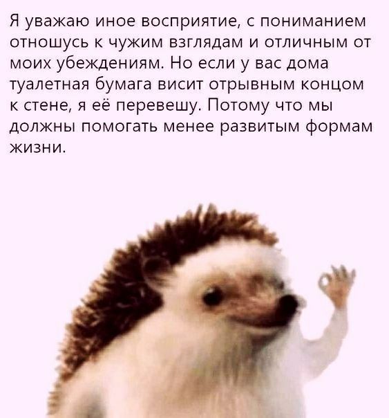 Я уважаю иное восприятие, с пониманием отношусь к чужим взглядам и отличным от моих убеждениям. Но если у вас дома туалетная бумага висит отрывным концом к стене, я её перевещу. Потому что мы должны п
