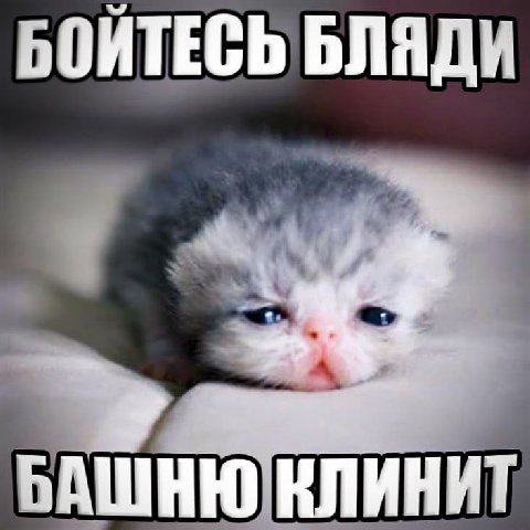 БОЙТЕСЬ БЛЯДИ