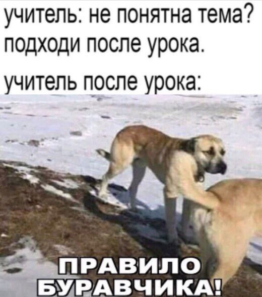 учитель: не понятна тема? подходи после урока. учитель после ПРАВИЛО ЬУРАВЧИКА!