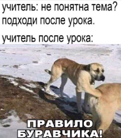учитель: не понятна тема? подходи после урока. учитель после ПРАВИЛО ЬУРАВЧИКА!