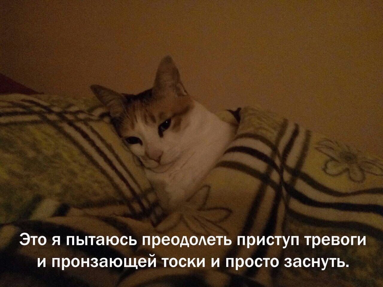 Это я пытаюсь преодолеть приступ тревоги и пронзающей тоски и просто заснуть.
