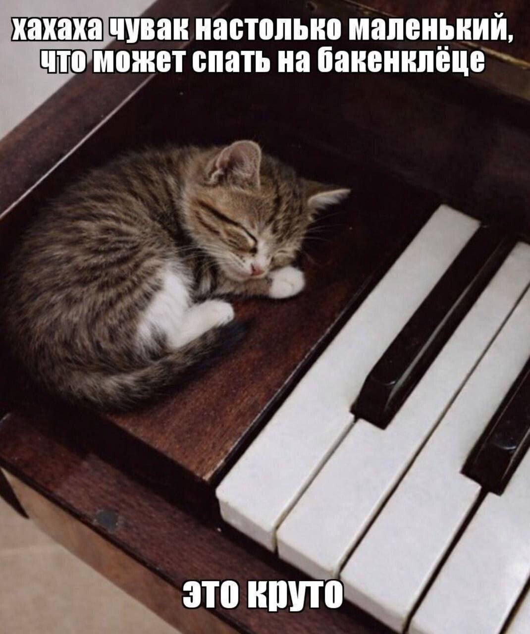 Хахаха чувак настолько маленький, что может спать на бакенклеце к это круто У