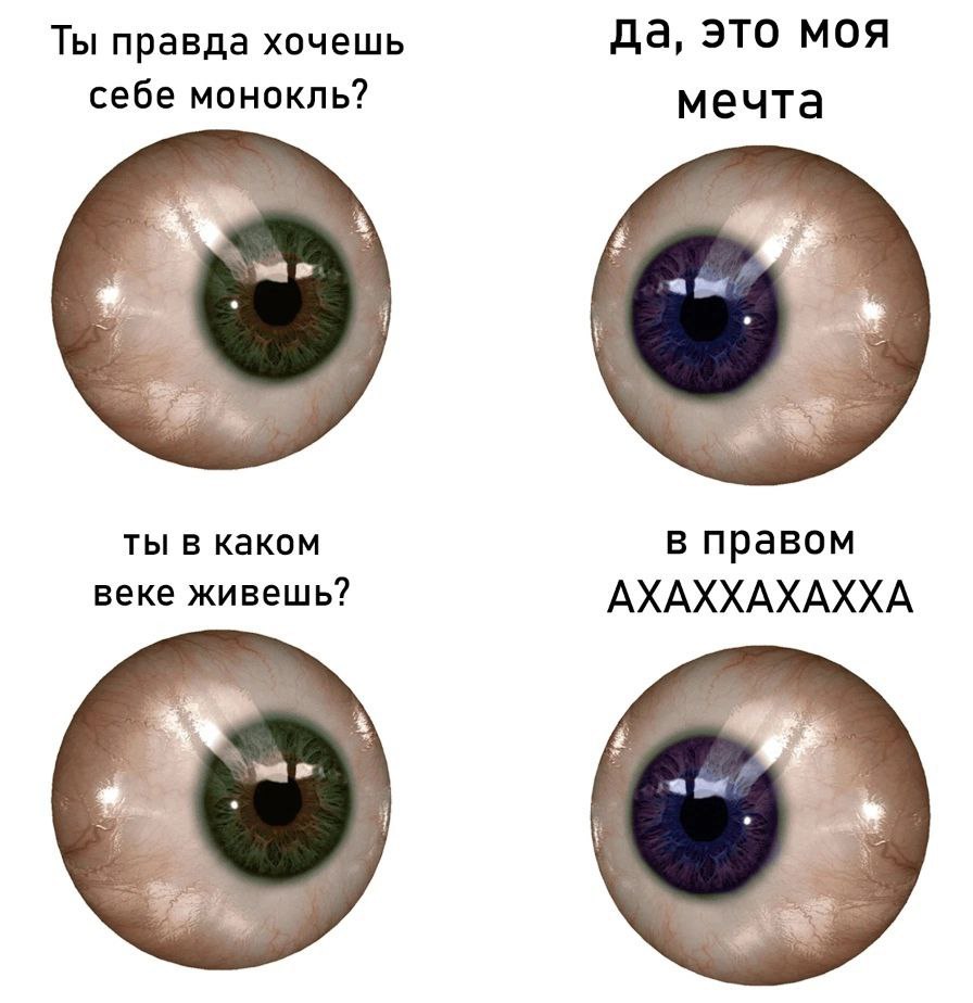 Ты правда хочешь да, это моя себе монокль? мечта ты в каком в правом веке живешь? АХАХХАХАХХА в я