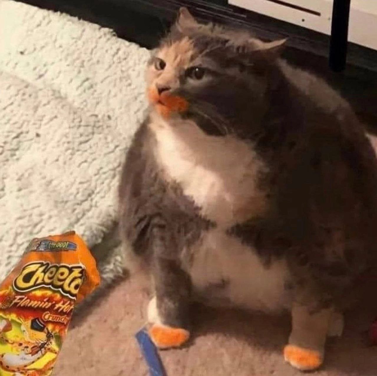 а