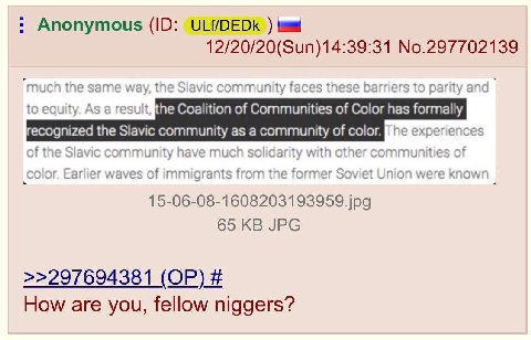 Ну чё там с привилегиями, нигры?
