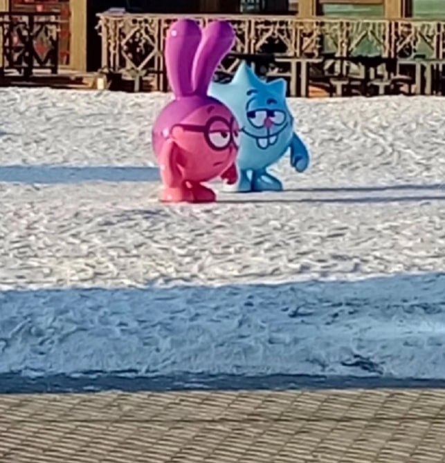 15 ж