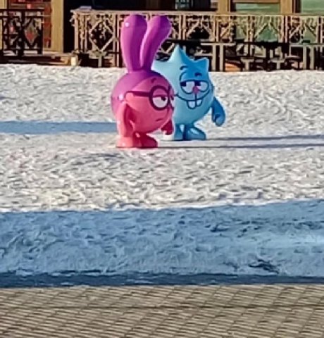 15 ж