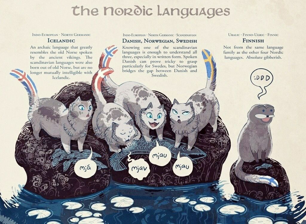 А i ДА Мовти GERMANIC NortH GERMANIC SCANDINAVIAN Овлыс ICELANDIC DanisH, SWEDISH FINNISH An archaic language that greatly Knowing one of the scandinavian Not from the same language resembles the old 