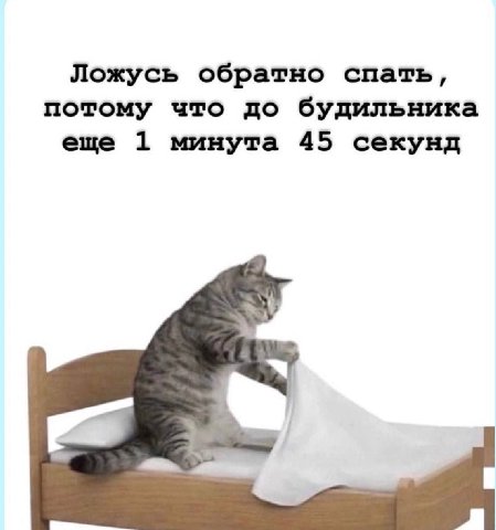 Ложусь обратно спать, потому что до будильника еще 1 минута 45 секунд