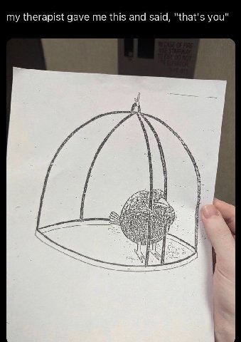 my therapist gave me this and said, "that's you" у a