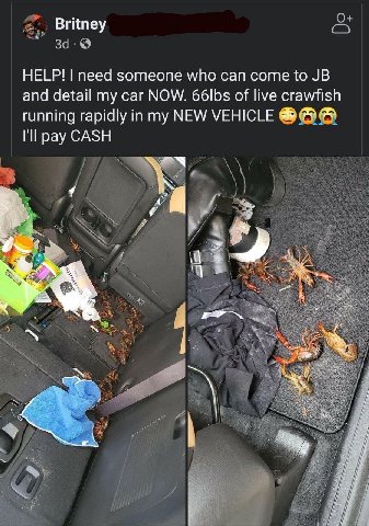 Britney за. HELP! need someone who can come to and detail my car NOW. 66lbs of live crawfish running rapidly in my NEW VEHICLE pay CASH A VES 5