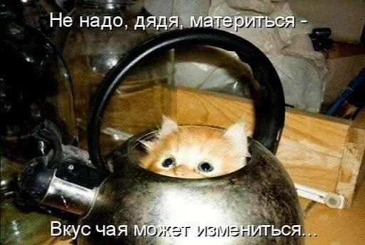 Не надо. дядя, материться Вкус чая ИТЬСЯ