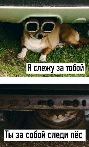 4 A слежу за ТЫ за собой следи пёс