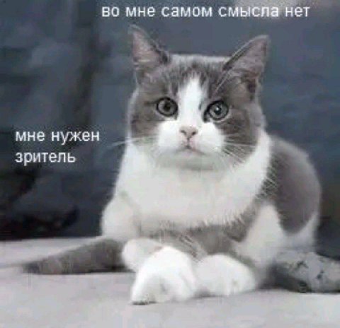 во мне самом смысла нет мне нужен зритель