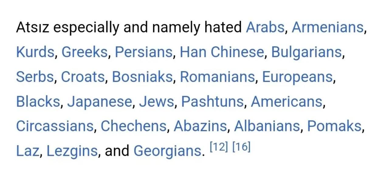 Atsiz especially and namely hated Arabs, Armenians, Kurds, Greeks, Persians, Han Chinese, Bulgarians, Serbs, Croats, Bosniaks, Romanians, Europeans, Blacks, Japanese, Jews, Pashtuns, Americans, Circas