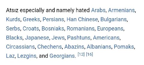 Atsiz especially and namely hated Arabs, Armenians, Kurds, Greeks, Persians, Han Chinese, Bulgarians, Serbs, Croats, Bosniaks, Romanians, Europeans, Blacks, Japanese, Jews, Pashtuns, Americans, Circas