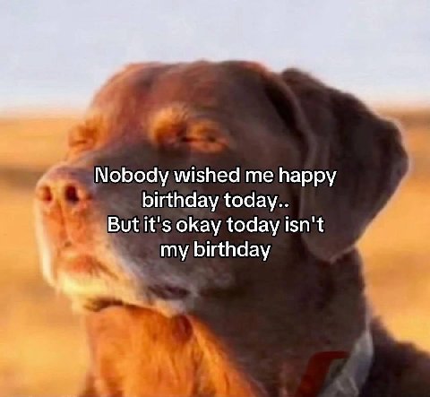 Nobody wished me happy birthday today.. But it's okay today isn't my birthday