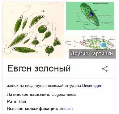 мой гендер
